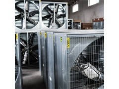 養(yǎng)殖專用排風(fēng)扇|畜牧排風(fēng)扇|養(yǎng)雞風(fēng)機_風(fēng)機、排風(fēng)設(shè)備_環(huán)境保護_商城_中國貿(mào)易網(wǎng)