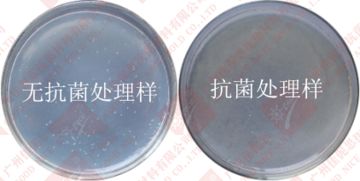 環(huán)保粉末防霉抗菌劑AEM5700-DC1在PVC材料中的應(yīng)用與優(yōu)勢